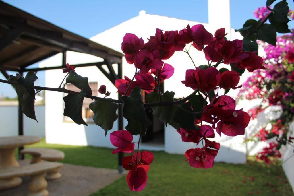 Hacienda Los Majadales Conil De La Frontera Zewnętrze zdjęcie