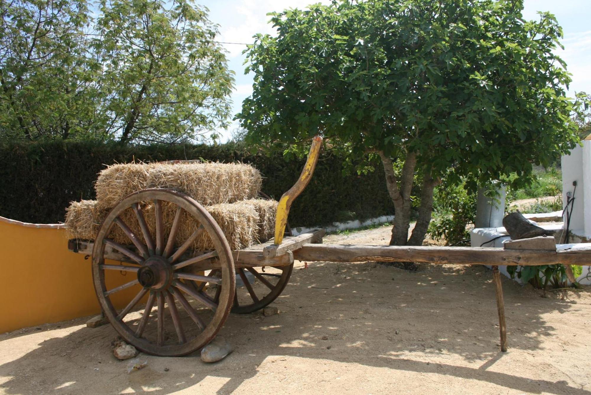 Hacienda Los Majadales Conil De La Frontera Zewnętrze zdjęcie