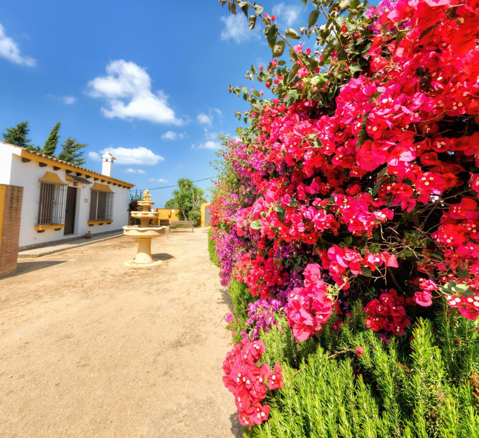 Hacienda Los Majadales Conil De La Frontera Zewnętrze zdjęcie